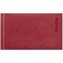 Ежедневник 2022 Leo Planner Glory А6 112 листов красный (252162)