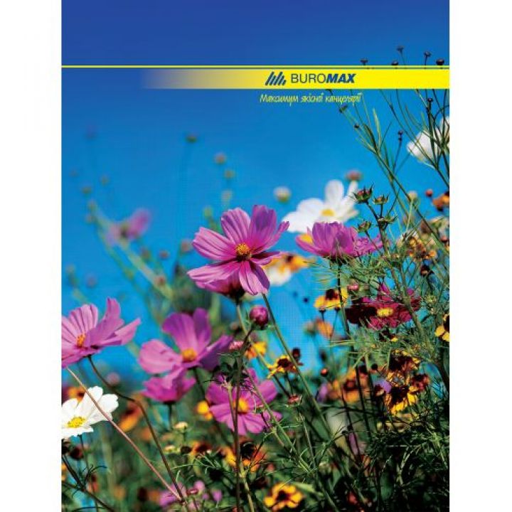 Канцелярская книга А4 для учета Buromax 96 листов (BM.2400)