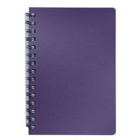 Книжка записна на пружині STATUS А5