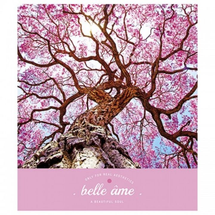 Тетрадь А5 Belle ame Школярик 96 листов (096-2615К)