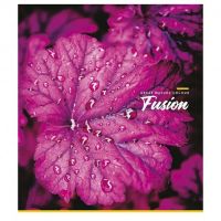 Зошит А5 Fusion